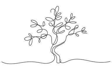 Single Line of a Stylized Tree isolated on a transparent background
