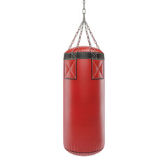 Vertical View of a Professional Boxing Heavy Bag 3D Render