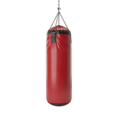 Home Gym Boxing Equipment for Functional Fitness and Stress Relief
