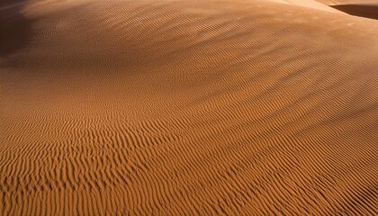 top down view of fine desert sand with soft rippled texture natural daylight