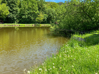 fishing rods set up by forest lake on grassy shore