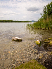 rocky lake Balaton shore with reeds and cloudy sky