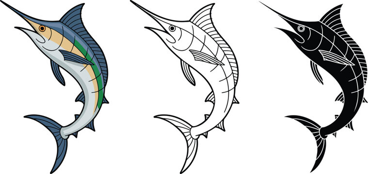 Blue marlin fish silhouette & Outline and illustration set isolated on transparent background