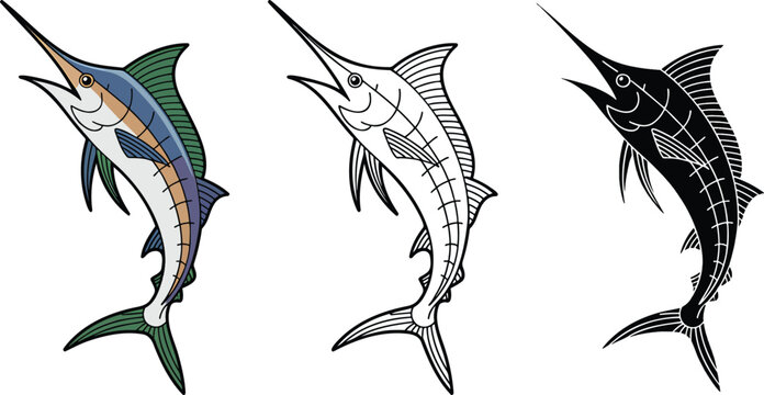 Blue marlin fish silhouette & Outline and illustration set isolated on transparent background
