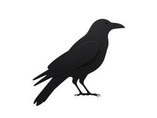 Obraz premium A black bird stands alone on a white surface, great for backgrounds or symbolism