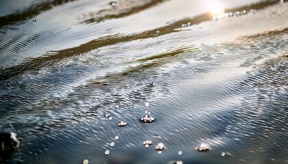 Tranquil Water In Neutral Hues With Shallow Depth Of Field Bubble Trails And Splash Accents Delicate Interplay Of Light Ideal For Abstract Nature Theme
