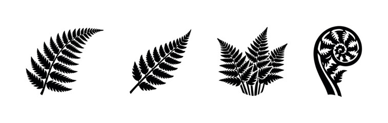 Obraz premium Fern leaves, flat vector illustration with leaves, silhouette, cut section