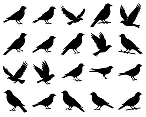 Array of black bird silhouettes in flight and perched poses &mdash; vector illustration