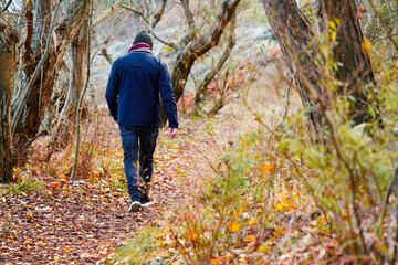 Life journey concept with an elderly man walking away along a woodland trail, symbolizing experience, transition, solitude, personal direction, and moving forward through later stages of life.