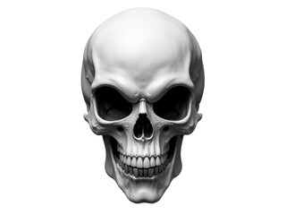 Fototapeta premium A close-up of a white human skull on a white background, great for medical or anatomy illustrations