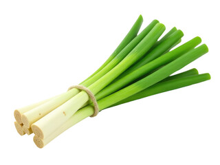 A bundle of green onions tied to a string for easy transport or display