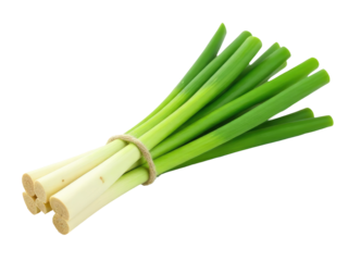 A bundle of green onions tied to a string for easy transport or display