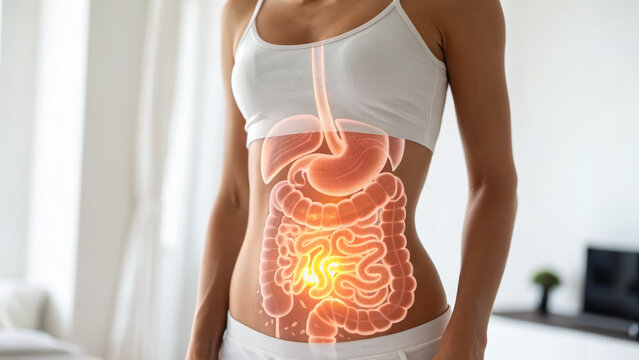 Anatomy illustration showing digestive system inside female body including stomach liver and intestines glowing brightly