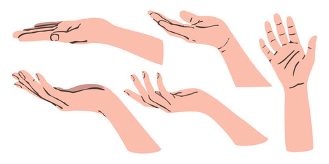 Set of facing up hand illustration isolated on white background. People open palm up in getting or receiving something gesture, holding, showing, presenting product business concept.