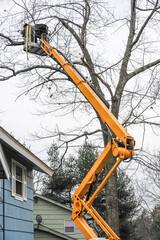 tree removal in residential district with crane and elevator
