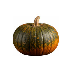 pumpkin isolated on transparent background png