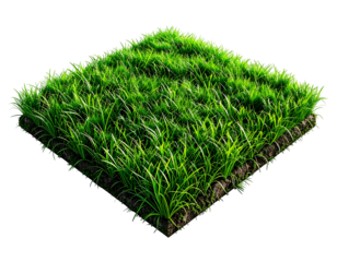 Lush green grass patch with soil on a dark background