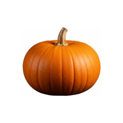 pumpkin isolated 