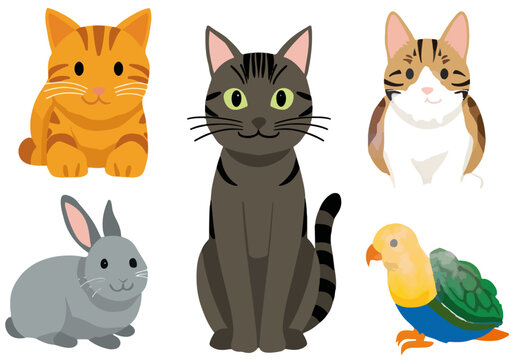 Collezione di animali domestici illustrati: gatti, coniglio e pappagallo su sfondo trasparente.