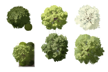 上から見た緑豊かな木々のセット。透明な背景に描かれ、デザインプロジェクトに最適です。