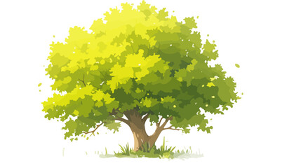 緑豊かな葉を持つ美しい木が白い背景に描かれており、透明感のあるイラスト。