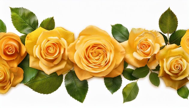 Golden Yellow Rose Floral Border With Leaves On Transparent Background