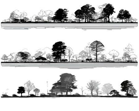 Drei Silhouetten-Set von B&auml;umen und Waldr&auml;ndern als Schwarz-Wei&szlig;-Vektor-Grafiken mit transparentem Hintergrund.
