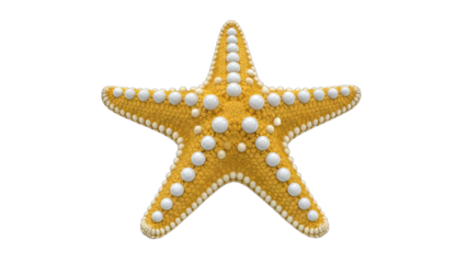 Yellow Starfish Isolated on White Background