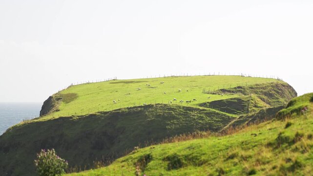 Malin Beg, Co. Donegal, Irland 2024, Silver Strand, Wild Atlantic Way,

