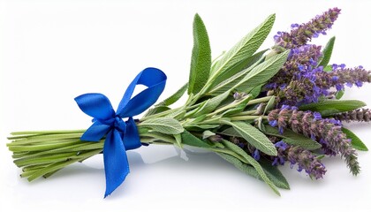 Sage Flowers On Stems With Green Leaves Collected In Bunch With Blue Ribbon And Isolated On White Background