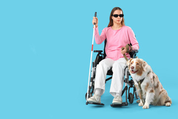Blind young woman in wheelchair with guide dog on blue background