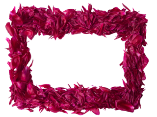 Floral Frame from Red Peony Petals with Copy Space. Isolated on Transparent