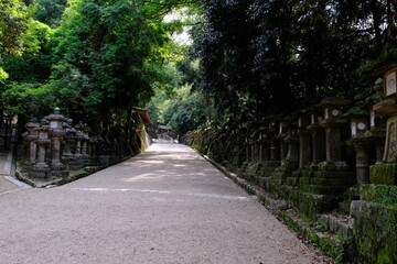 春日大社の参道　奈良県