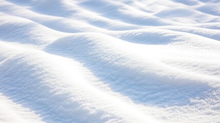 Snowy landscape close-up