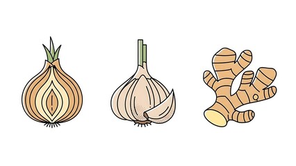 Illustration of Onion Garlic Turmeric Spices.