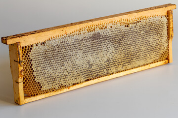 Honeycomb wooden frame on white background, side view close up. Beekeeping tool