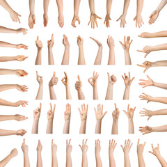 Fototapeta premium Female hands on white background. Collection of gestures