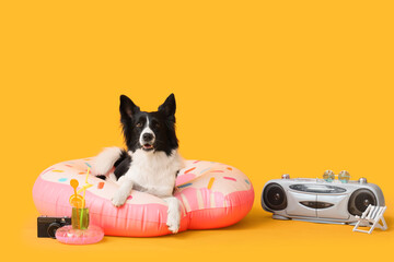Cute Border Collie dog with inflatable ring and travelling accessories on yellow background