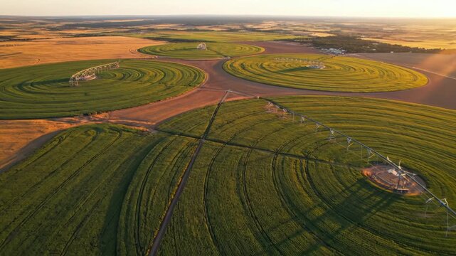 Aerial view of circular agricultural fields