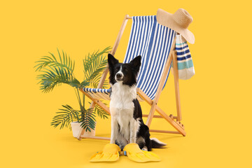 Cute Border Collie dog with deckchair and travelling accessories on yellow background © Pixel-Shot