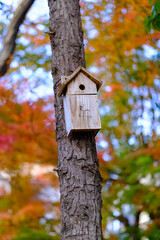 秋の風景　野鳥の為に設置された巣箱