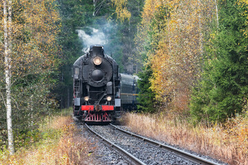 Steam train moves in the forest.