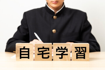 「自宅学習」と書かれたブロックと男子学生