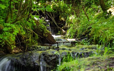 Vibrant green forest stream tumbles over mossy rocks in a lush woodland setting, capturing the...