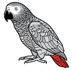 Obraz premium Exotic Avian Portrait: A striking African grey parrot, showcasing its vibrant feathers, captivating eyes, and distinguished beak.