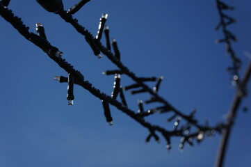 イルミネーションの電線