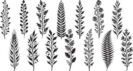 Black and White Botanical Leaves Set, Hand Drawn Floral Branches, Minimal Nature Vector Collection