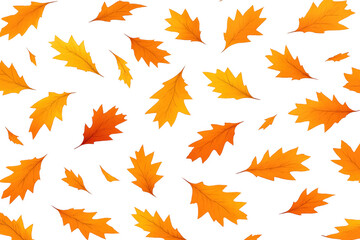 Obraz premium Autumn oak leaves falling, creating a vibrant seasonal pattern on a transparent background