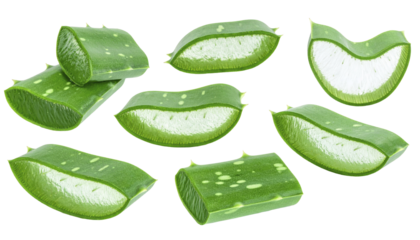 Fresh aloe vera slices isolated on transparent background. Green juicy herbal plant pieces for skincare, cosmetic packaging, spa, organic product branding and health concepts.
