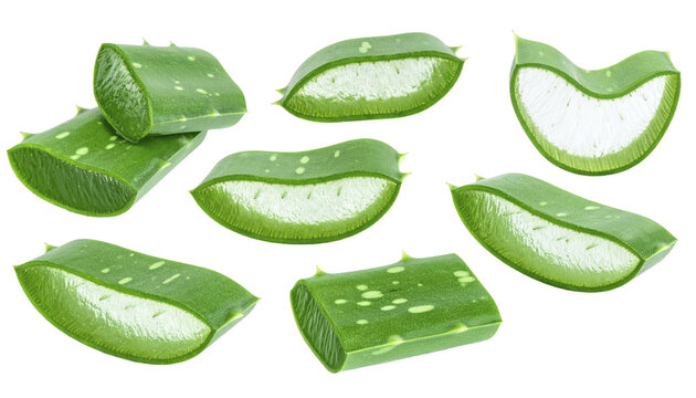 Fresh aloe vera slices isolated on transparent background. Green juicy herbal plant pieces for skincare, cosmetic packaging, spa, organic product branding and health concepts.